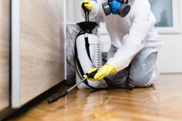 Pest control work 6